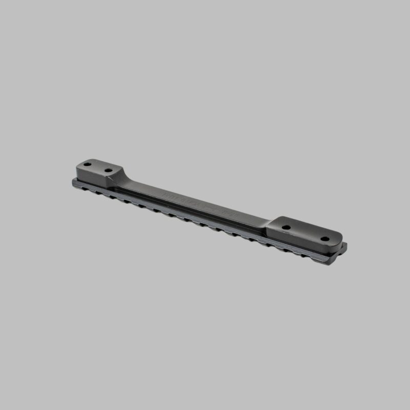 picatinny schiene für sauer 101 von rifledoc