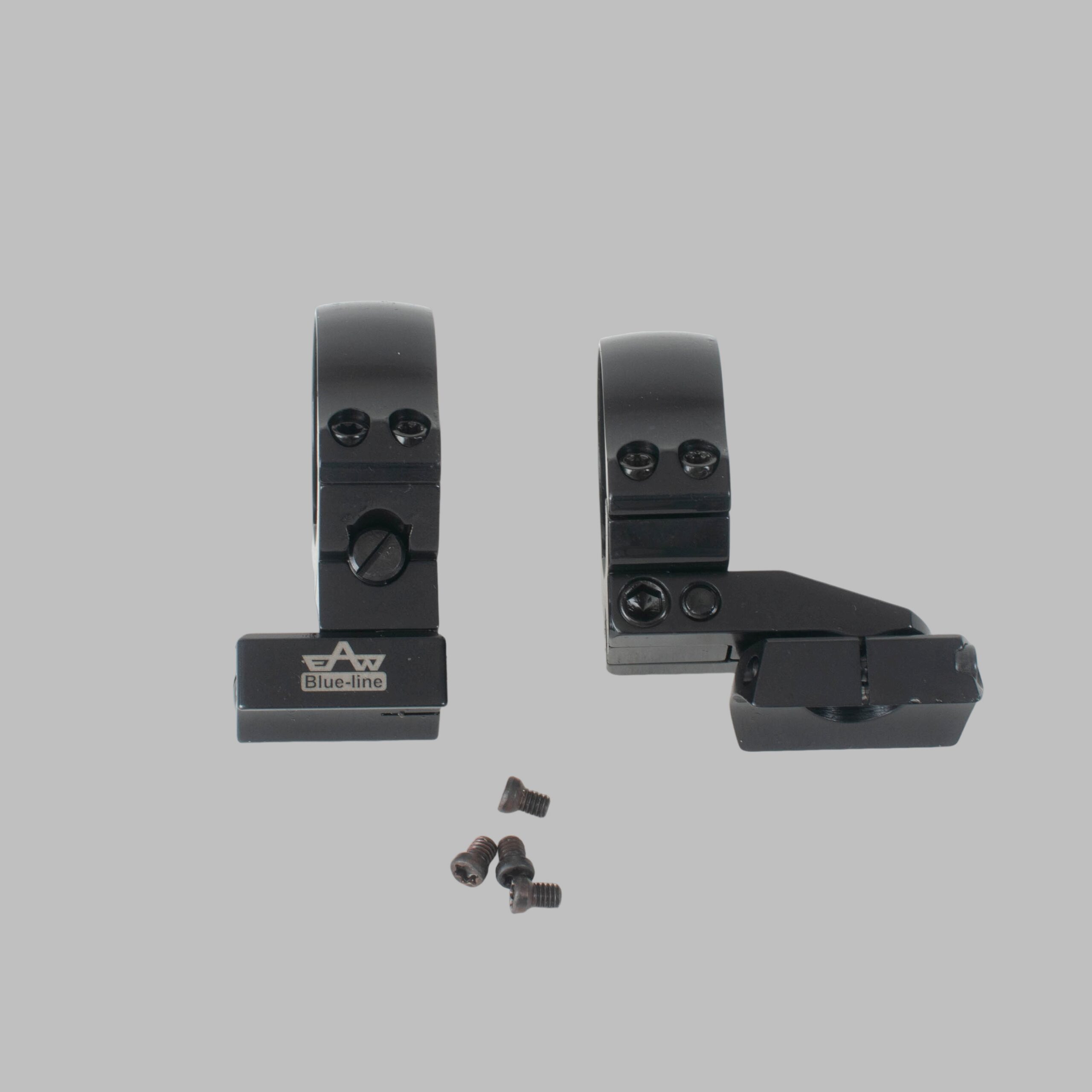 EAW Schwenkmontage Blueline